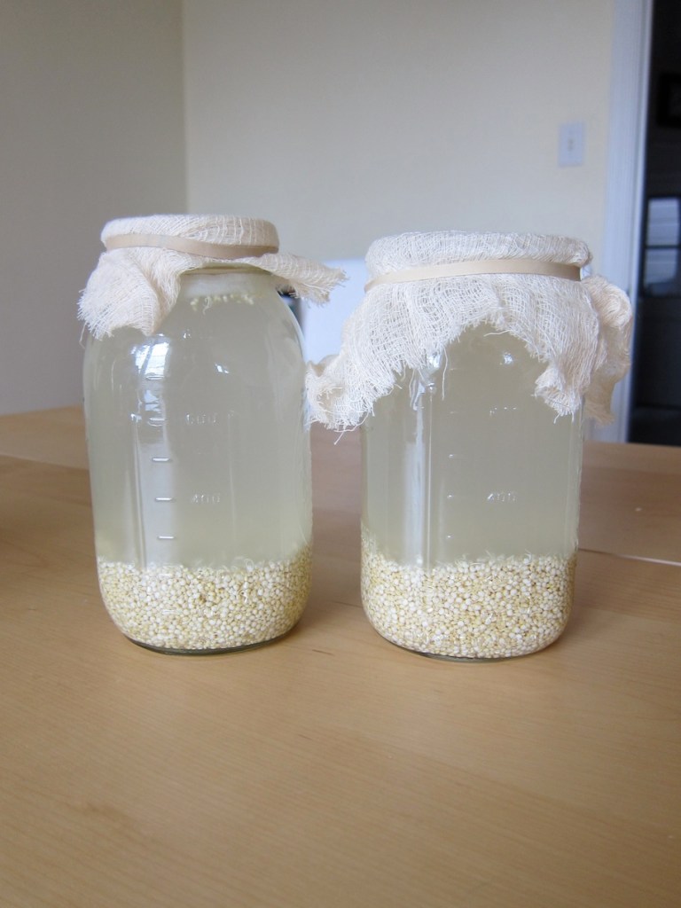 Rejuvelac in fermenting jars